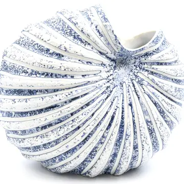 Shell Porcelain Vase