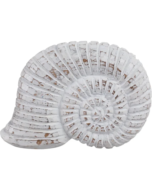 White Distressed Wooden Shell